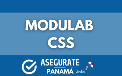 modulab css