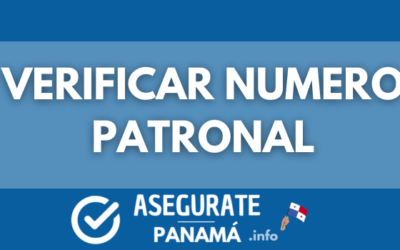 verificar numero patronal