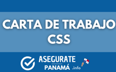 carta de trabajo css