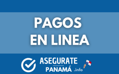 pago en linea