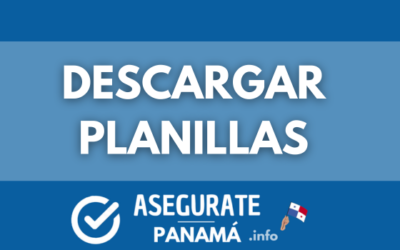 descargar planillas css